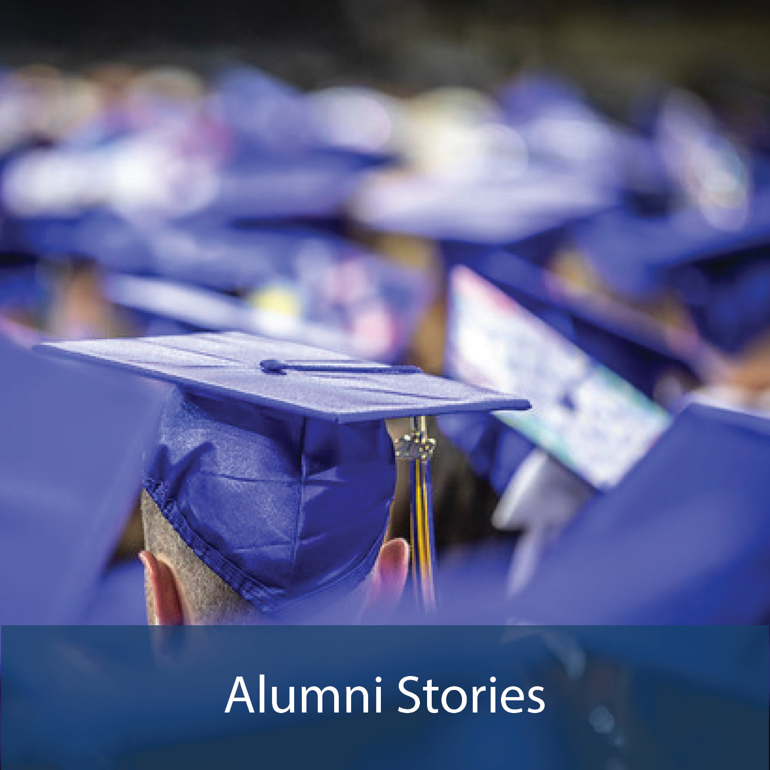 Alumni Stories Button