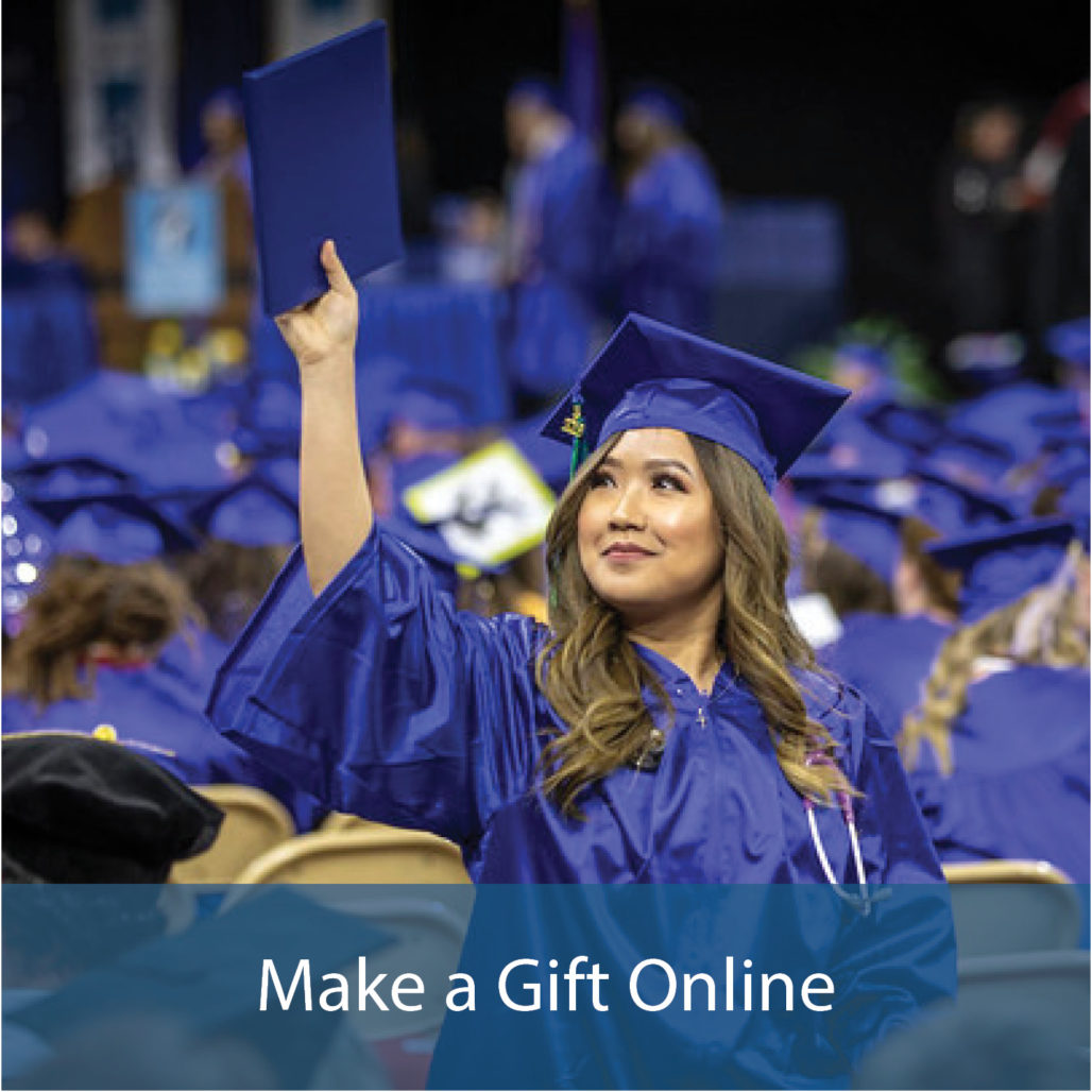 make a gift online button