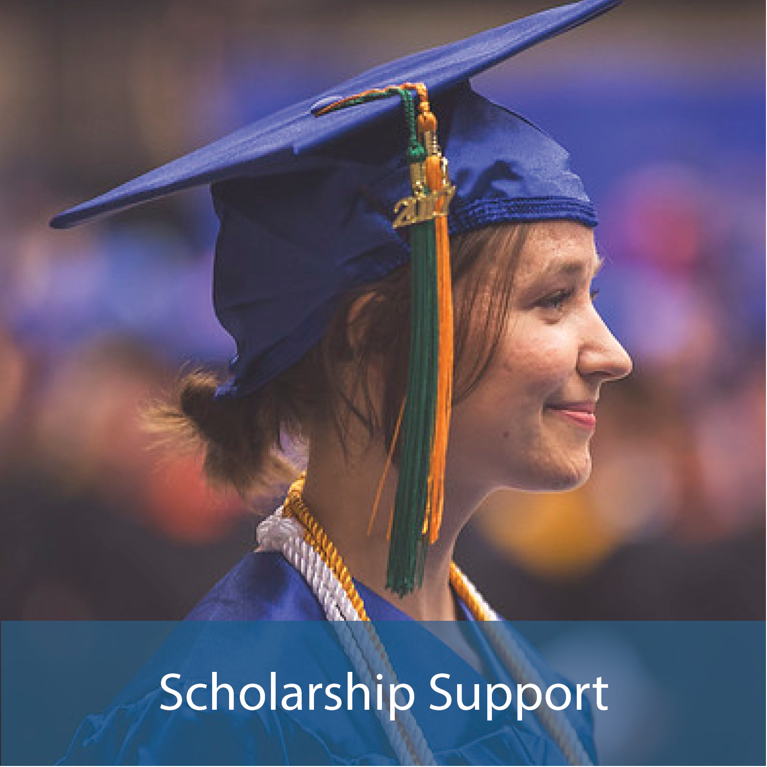 Scholarship Support Button